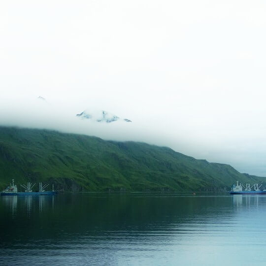 Fishing Company Of Alaska In Dutch Harbor
