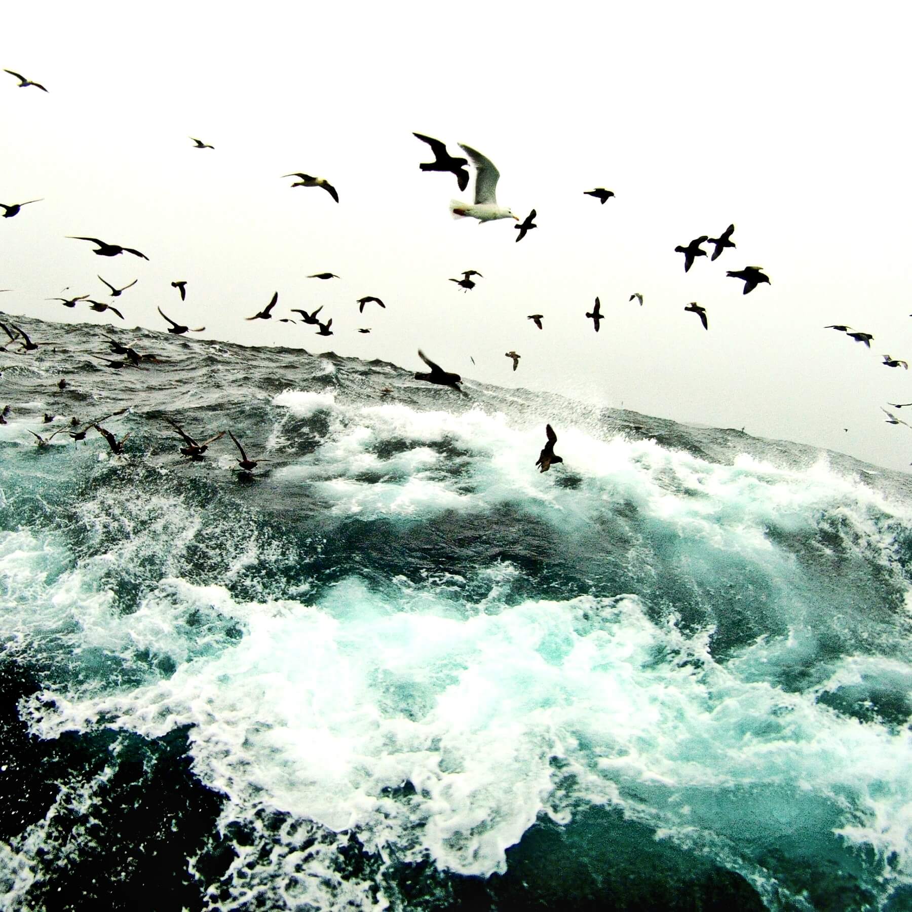 Storm in the Bering Sea